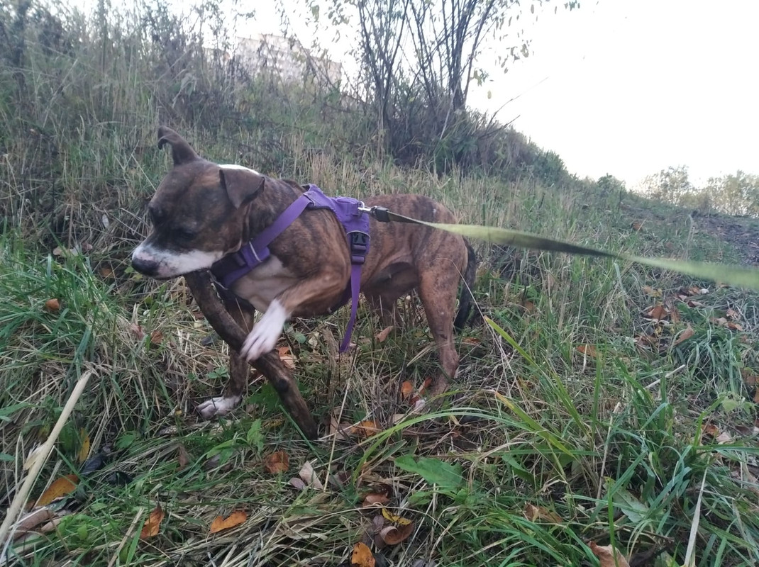 1EEE20C2-D84E-46F5-AB09-9AFB71F4C9D6