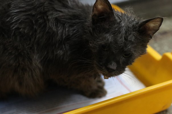 20631901-CBDD-4236-8208-0EB3F4CD524B