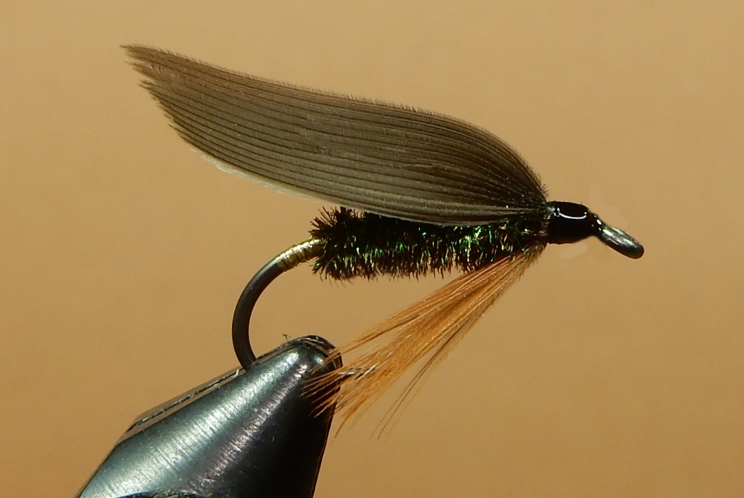 Coachman-Leadwing-1080.jpg