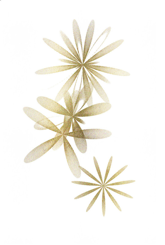 всадник китов рубашка