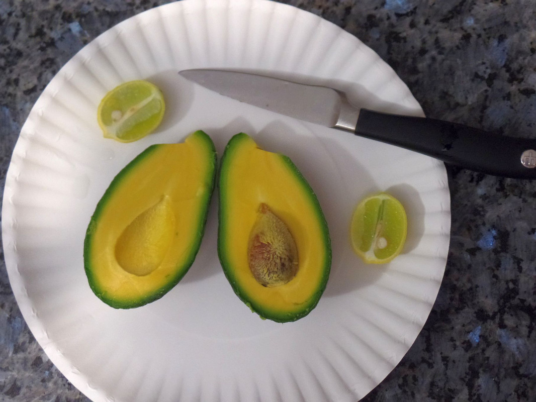 SharwilFruitFeb