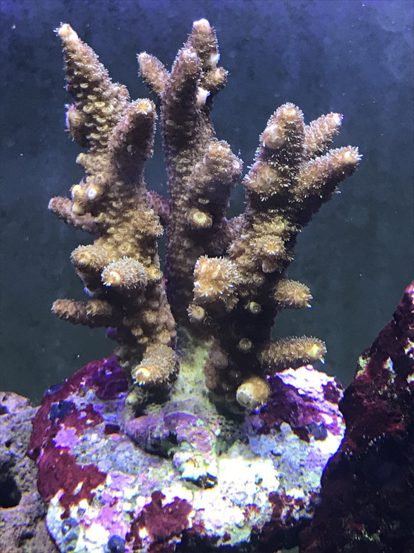 B7D76107-A335-4F63-A1EB-F20AD4576DCD