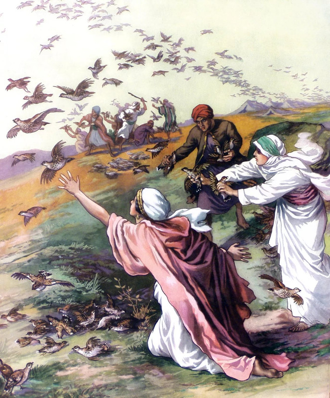 1B9A4D54-21C6-4556-ADC2-3E3FC9CAD3DB