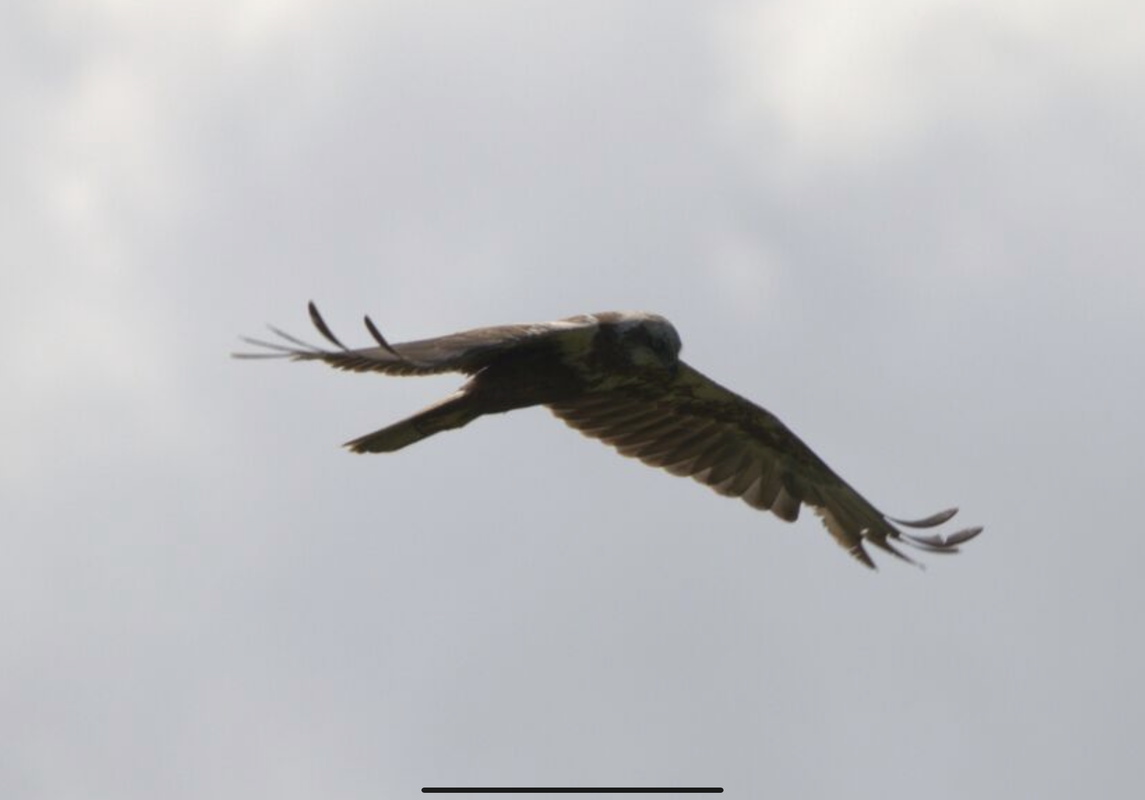 2F6BA21F-9BEC-4F0D-A54E-13C47650C514