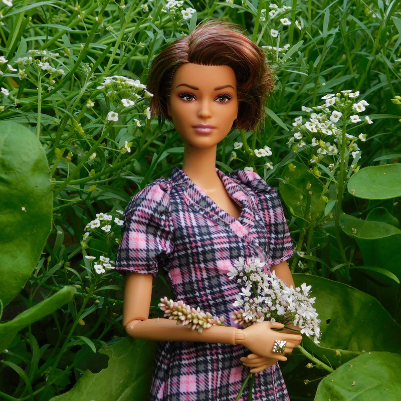 Дачно-барбейское июль, Харлинское 2-я серия 041