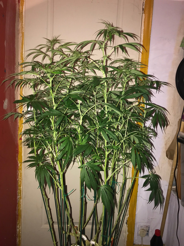 23B5705B-ED06-4E78-AB8C-81BAEEAFA1FC