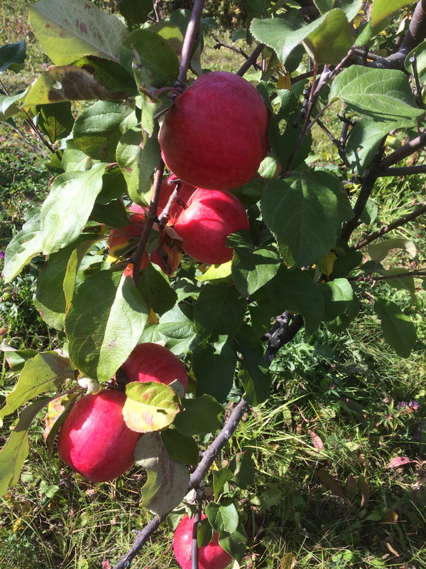 503E04D7-1B2C-450C-8BC9-3107DBDA4354