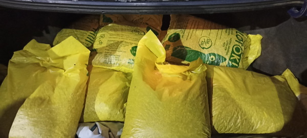 ������ ������ ��� ��������