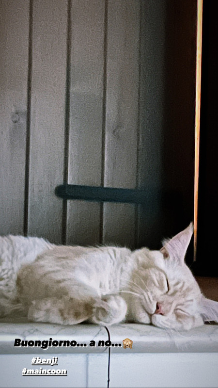 5B2BB63E-BDEF-4898-A35B-48BBC1CF12FF