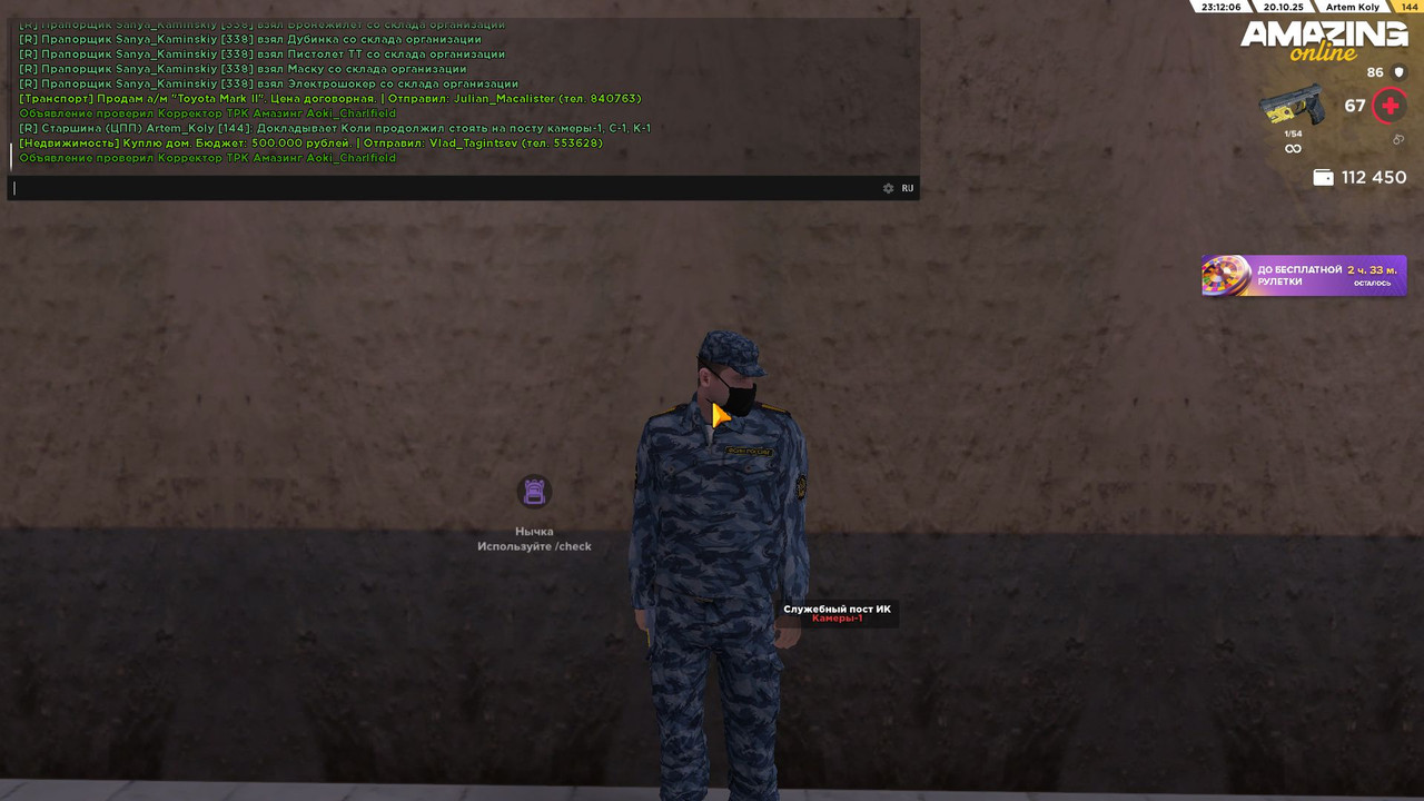 Скриншот-20-10-2025 20_12_08 (1)