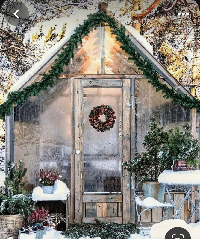 Screenshot_20231125_215830_Pinterest