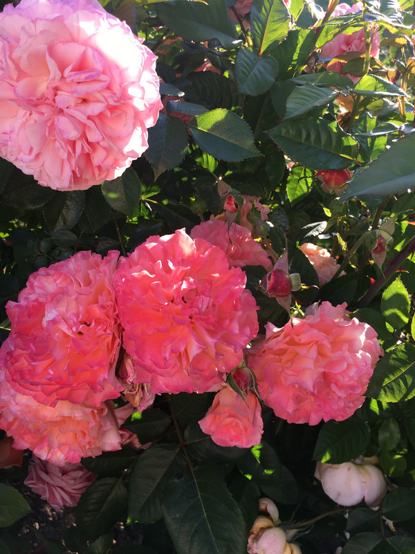 38BB7728-322B-437E-94AB-E482465A4F99