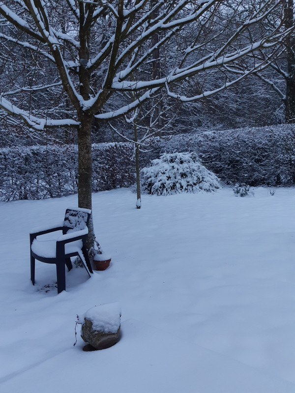 [Image: 20210117-083124.jpg]