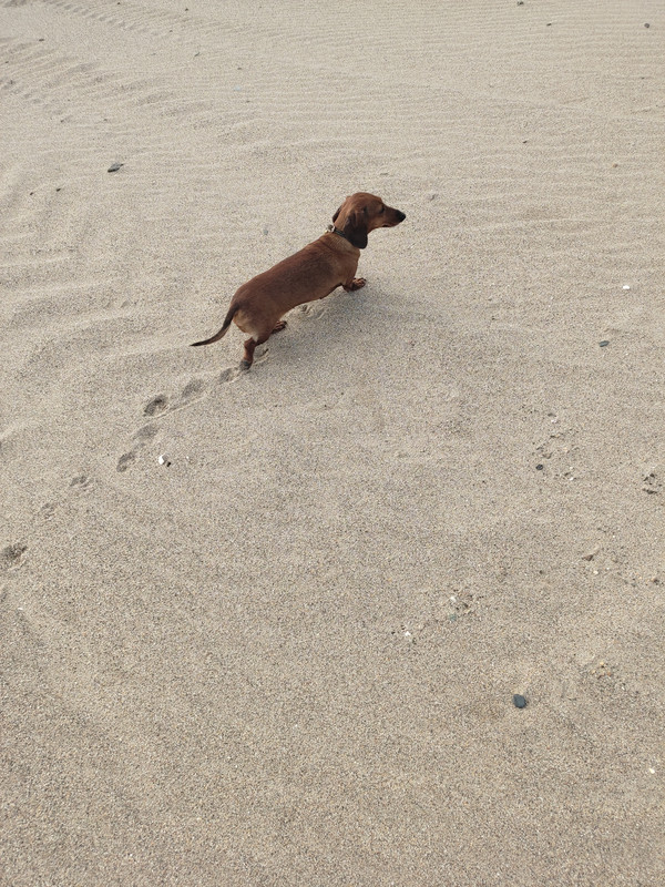 [Image: IMG-20240514-192720.jpg]