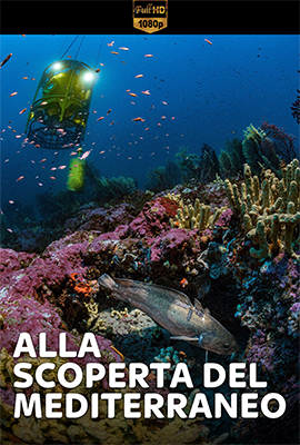 Alla scoperta del Mediterraneo (2020) .mkv DLMux 1080p E-AC3+AC3 ITA SUBS