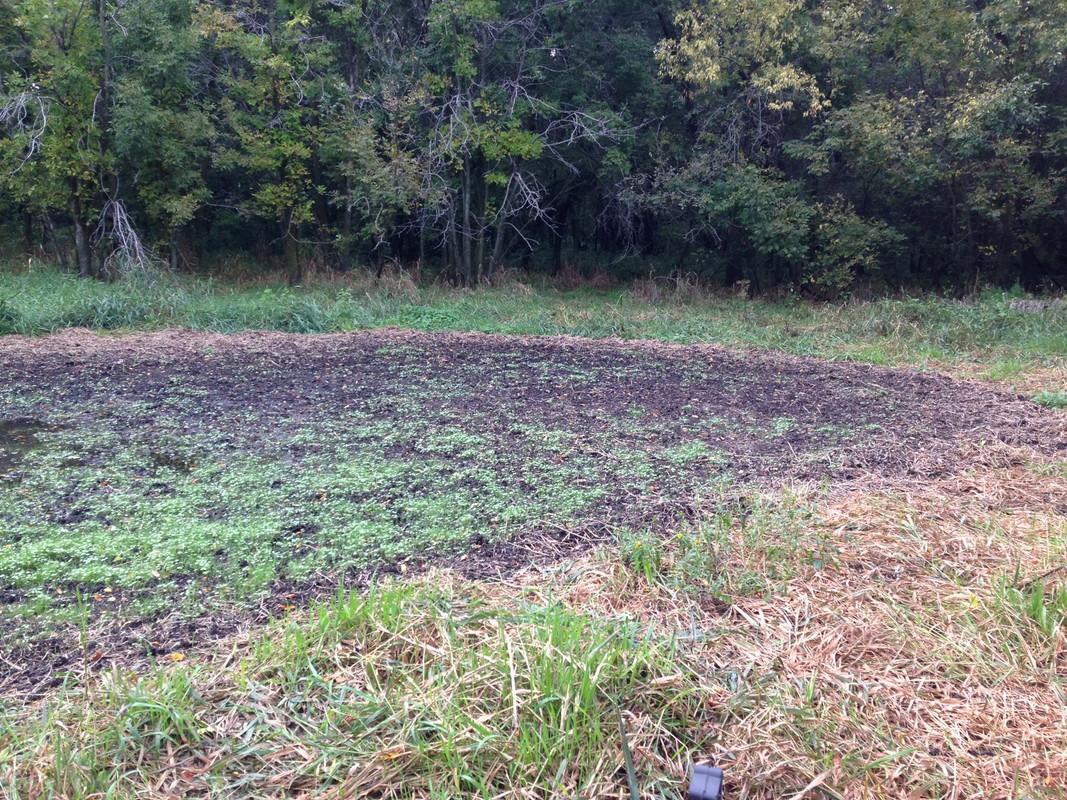 Plot 3