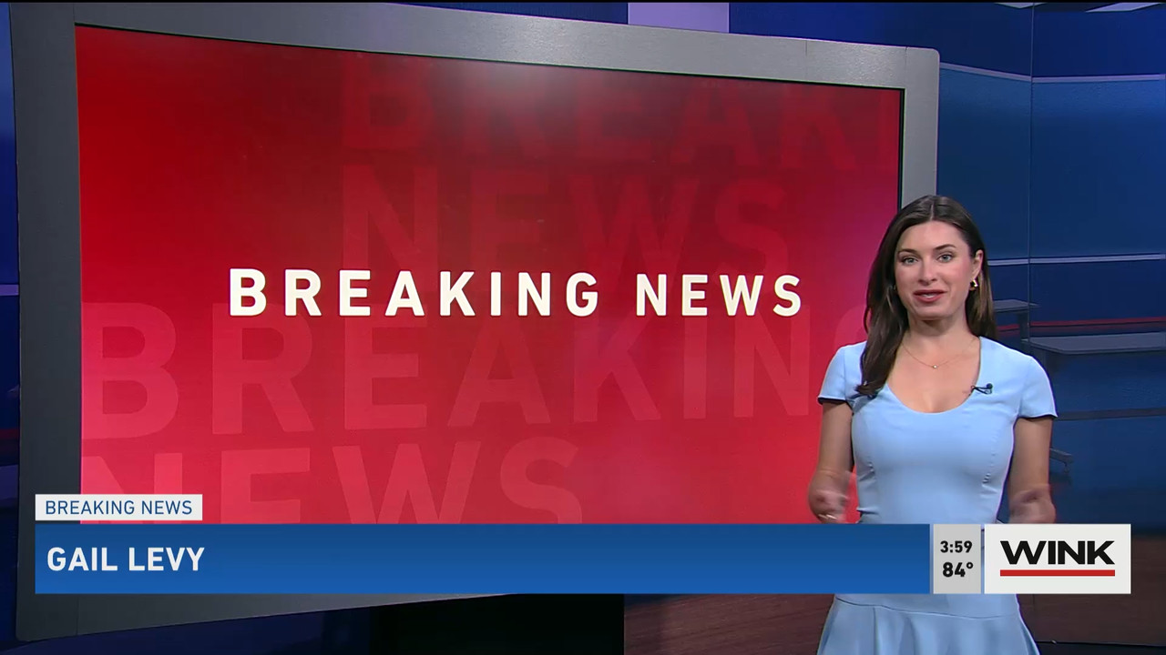 01.31 - 20.00.00 - WINK News at 3pm  ᴺᵉʷ..ts_snapshot_01.05.55.594