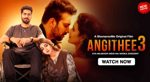 Angithee 3 (2024) Hindi