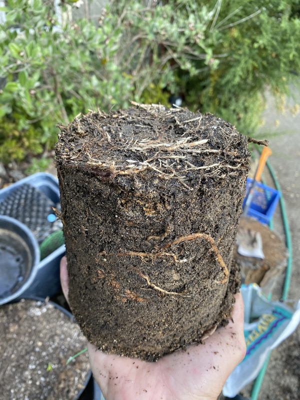 AA25AF1B-6A06-4C50-B8FB-02C508BD252E