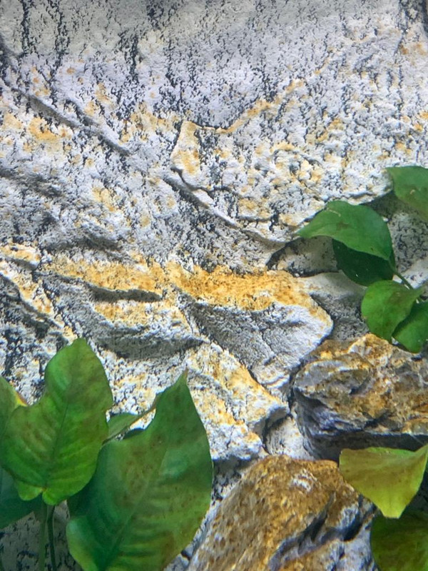 WhatsApp Image 2022-07-06 at 12.10.35 (1)