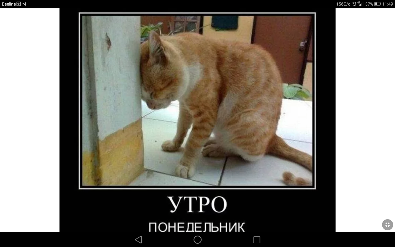 Screenshot_2023-01-16-11-49-28