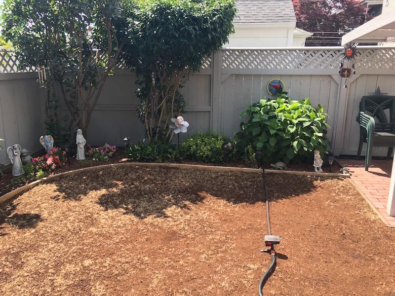 2017_Backyard_Seed_Down_Peatmoss_3_small