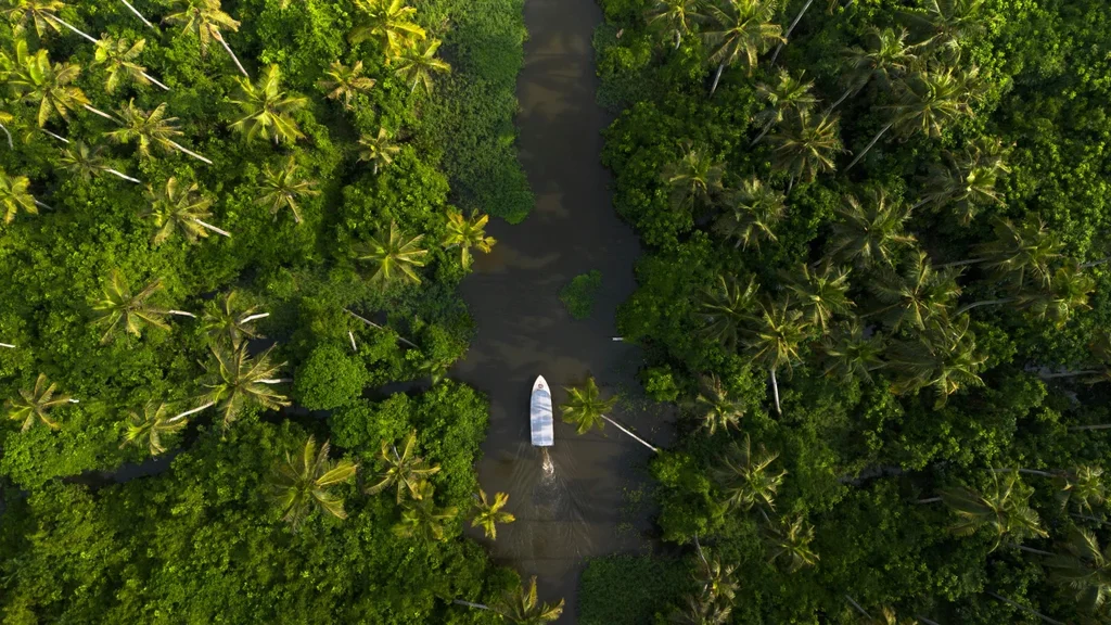kerala Backwater