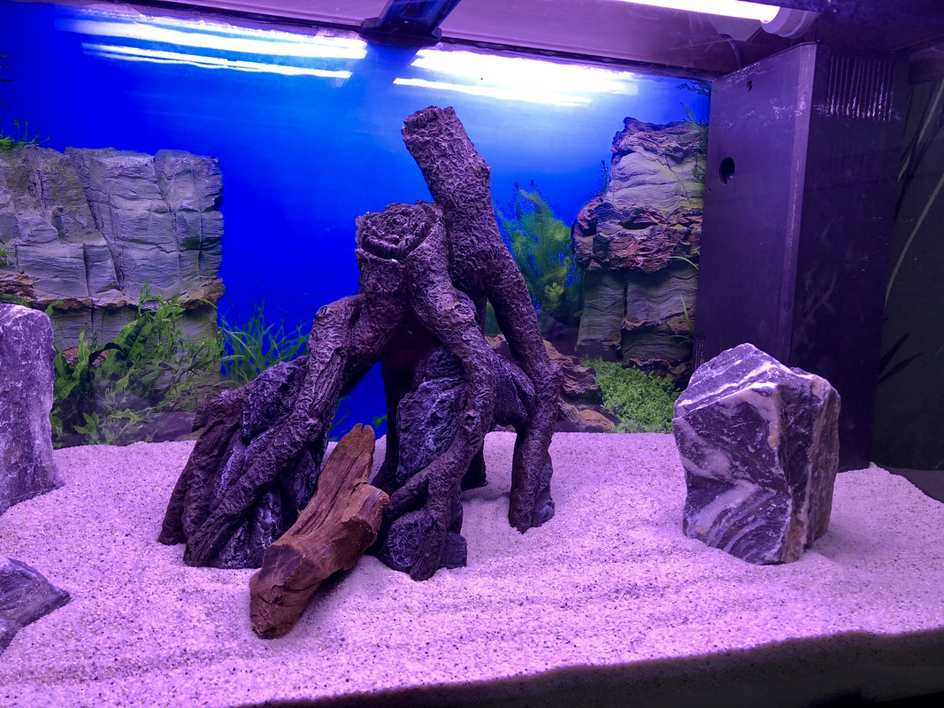 6C2BD659-A067-4BAF-B90E-26CAD3D759AE