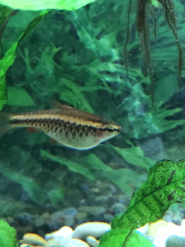 A389D318-BC4E-4840-81E5-F6034DD19190