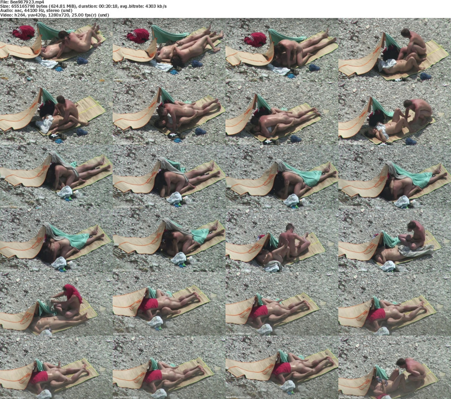 30112024074537screenshot