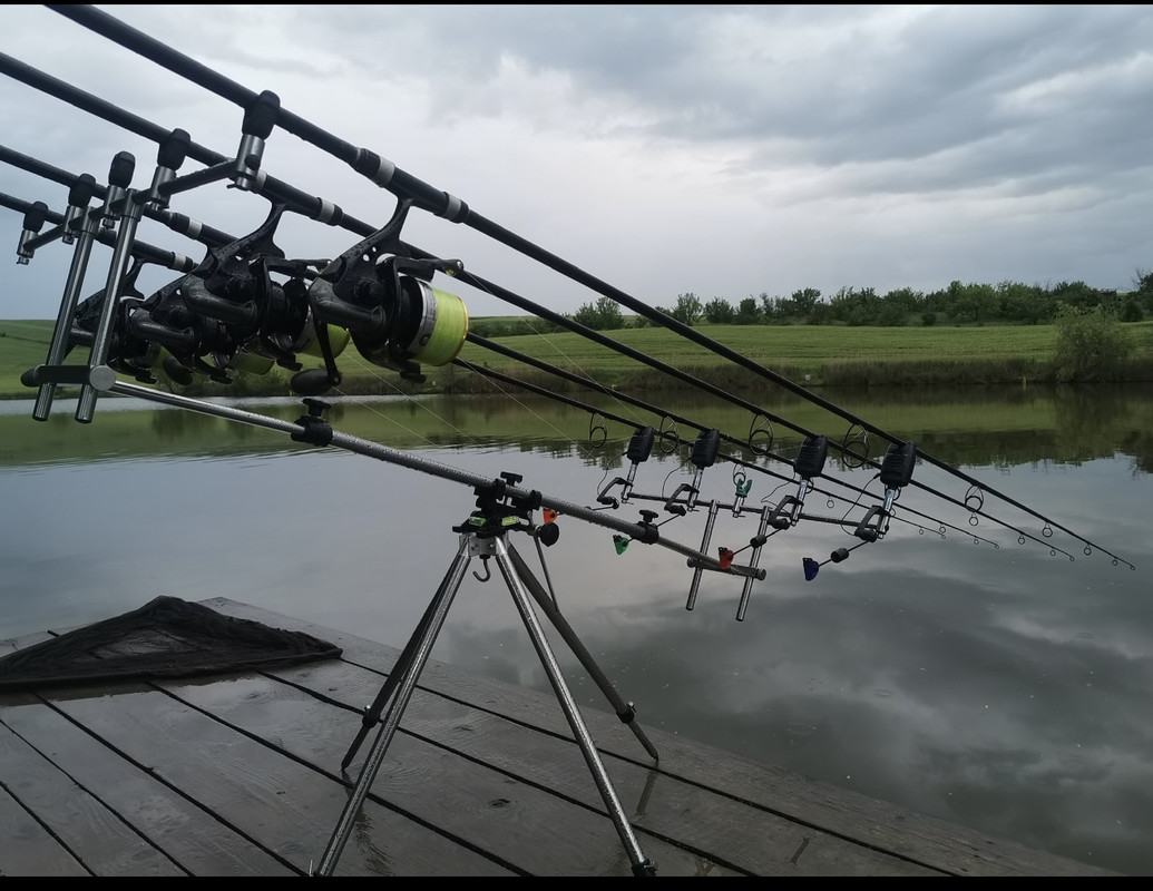 C44B8EE1-8FC7-4E32-AC39-4CF8D418DEEF