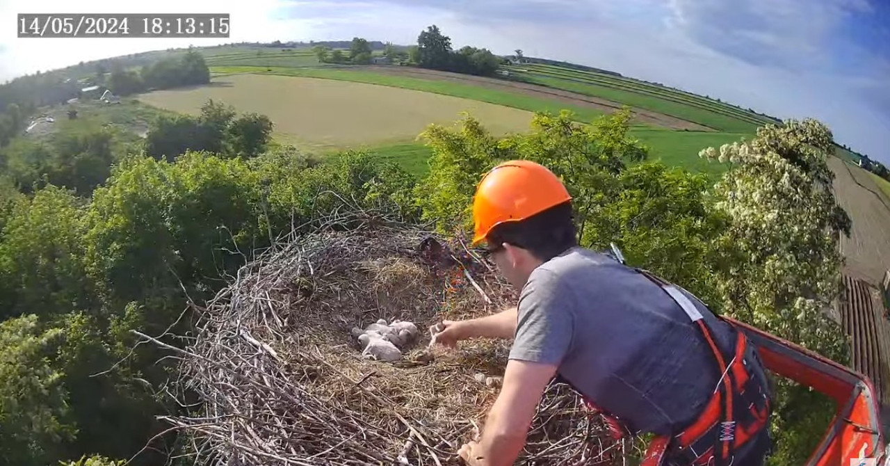 ScreenHunter_45826 May. 14 18.13