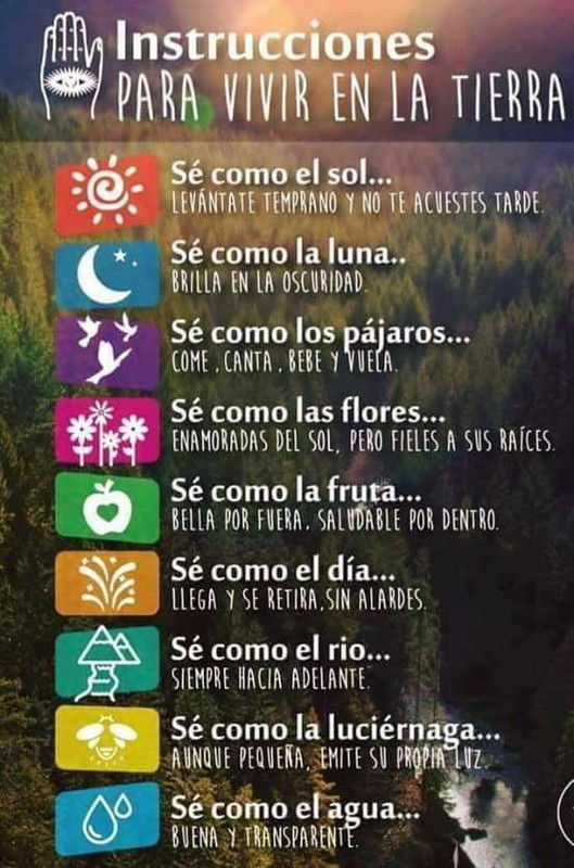 Instrucciones-de-como-vivir-la-vida.jpg