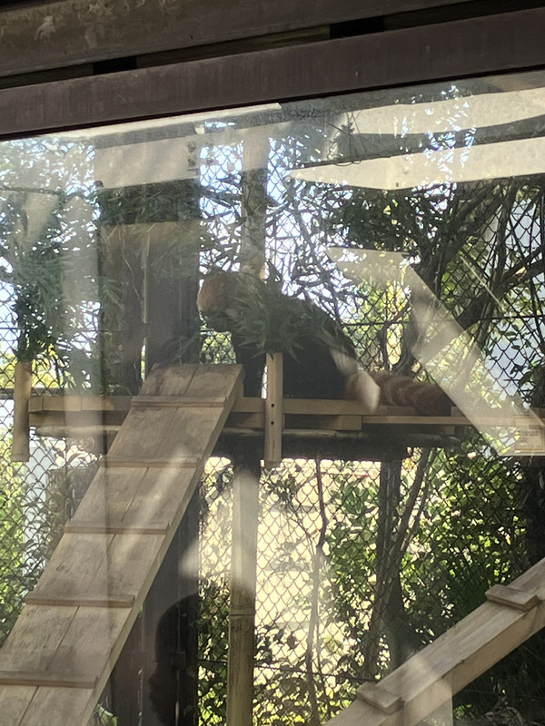 DA93391F-1D77-4F44-9FBE-7308356EDC1C