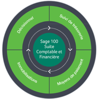 Sage 100C Entreprise Suite Comptable et Financiere v5.00 Multilingual