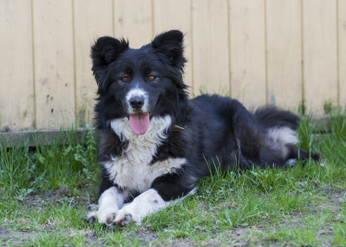 Фортуна_04_19_м18