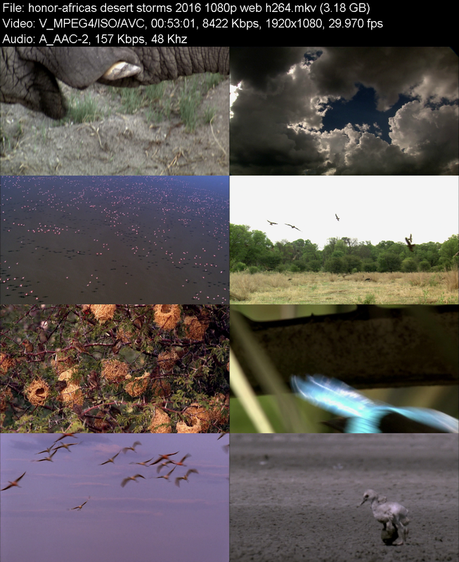 africas-desert-storms-2016-1080p-web-h26