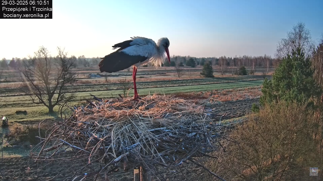 29032025porannezamieszanie_4