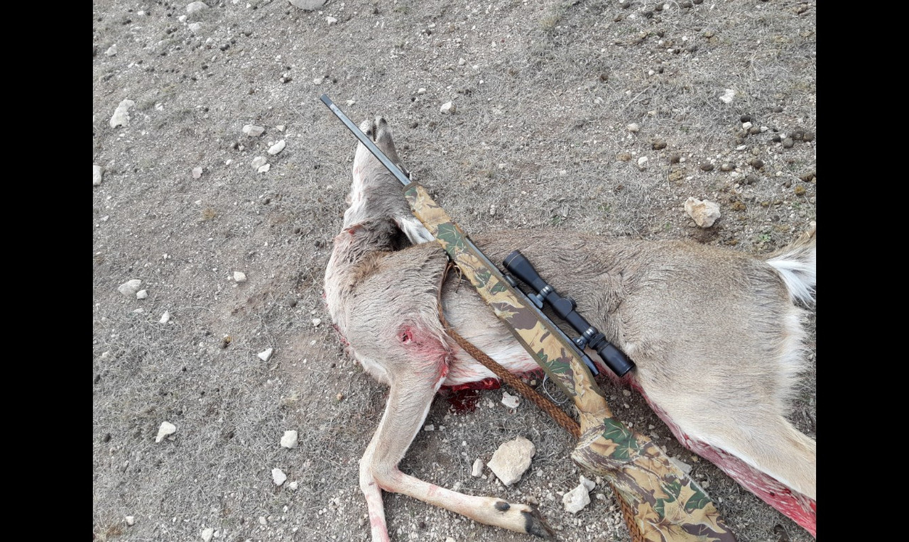 Screenshot_20221016-075841_Photos