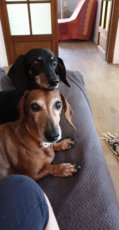 [Image: IMG-20210831-WA0001-1.jpg]