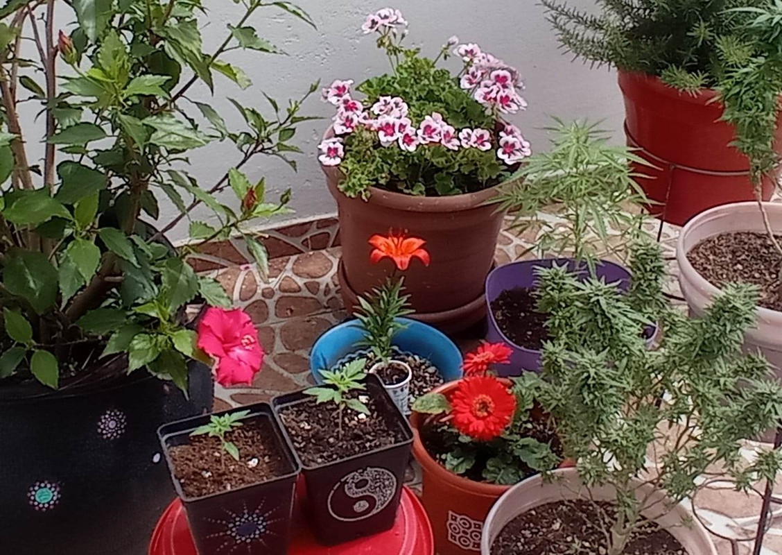 318304357_539148021430992_5373440802834592272_n