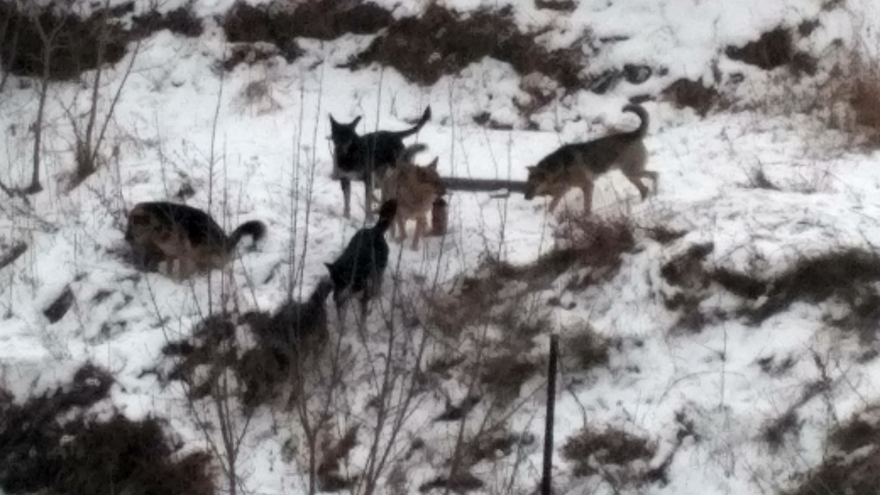 IMG_20191210_093954_HDR