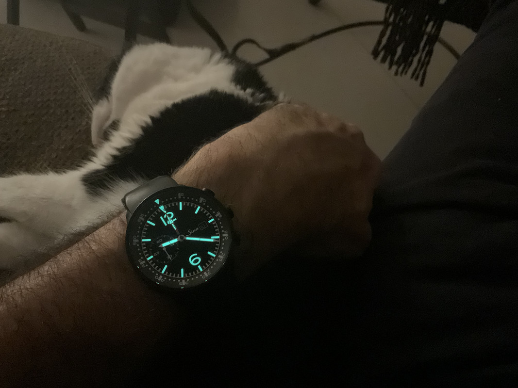 072172F5-E776-428D-862E-FA9C479DF935