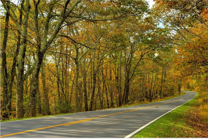 Autumn-trees-road-landscape-wallpaper-42