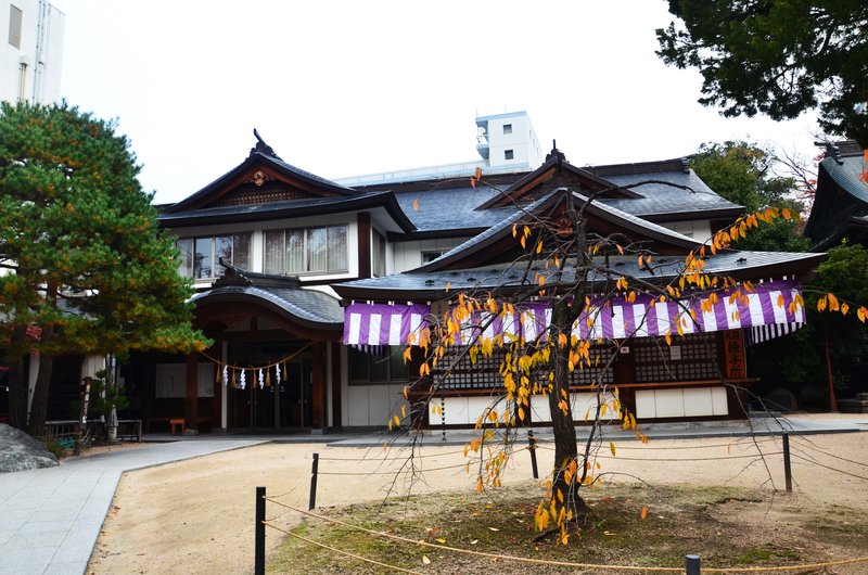 Japón y sus Pueblos-2024 - Blogs de Japon - Matsumoto-13 y 14-11-2024 (18)