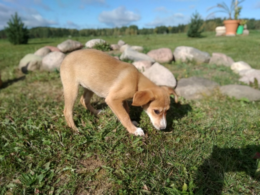 изображение_viber_2019-09-15_15-43-31