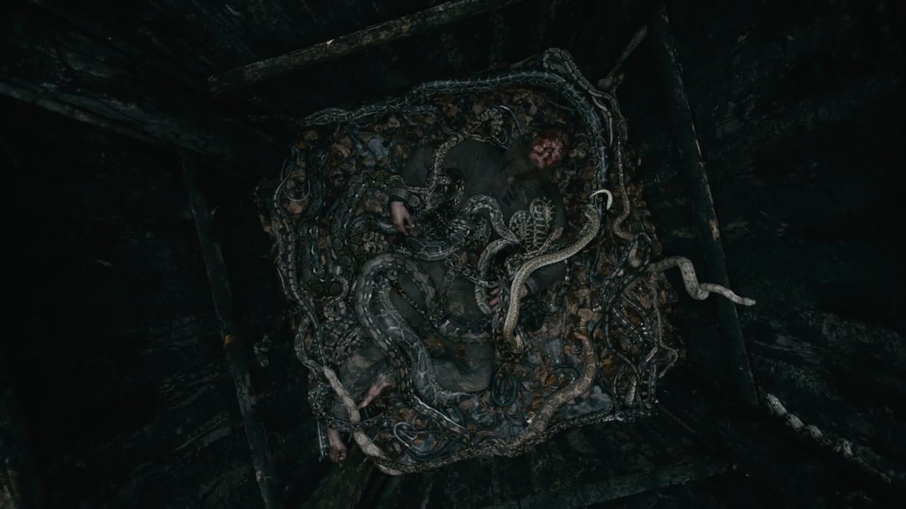 Vikings (2016) Season 4 [Hindi + English] WebRip 480p 720p ESub - Complete Screenshot