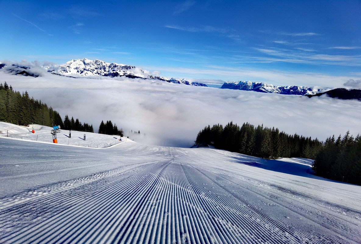 IMG_20220406_091116_edit_840167048858779