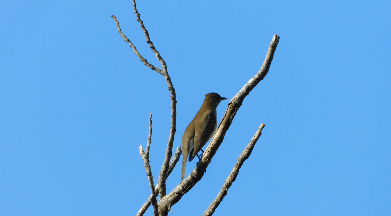 DSCN0041.jpg