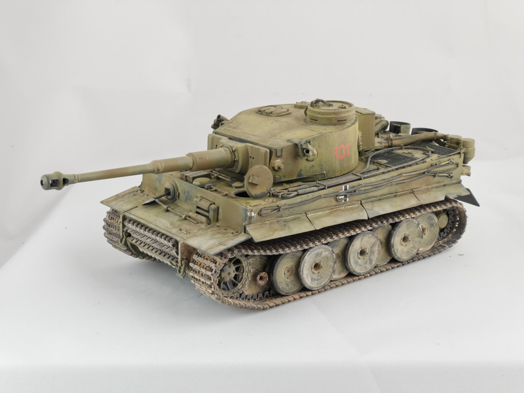 tiger131-13